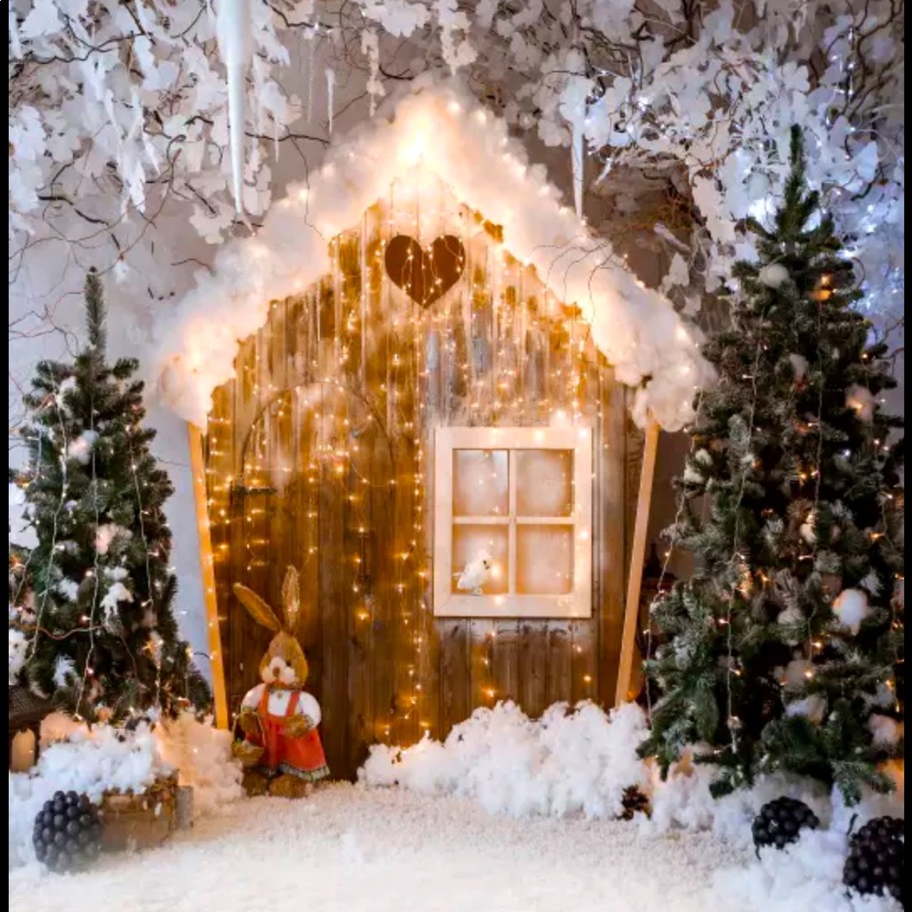 Christmas winter snowy backdrop for kids photo